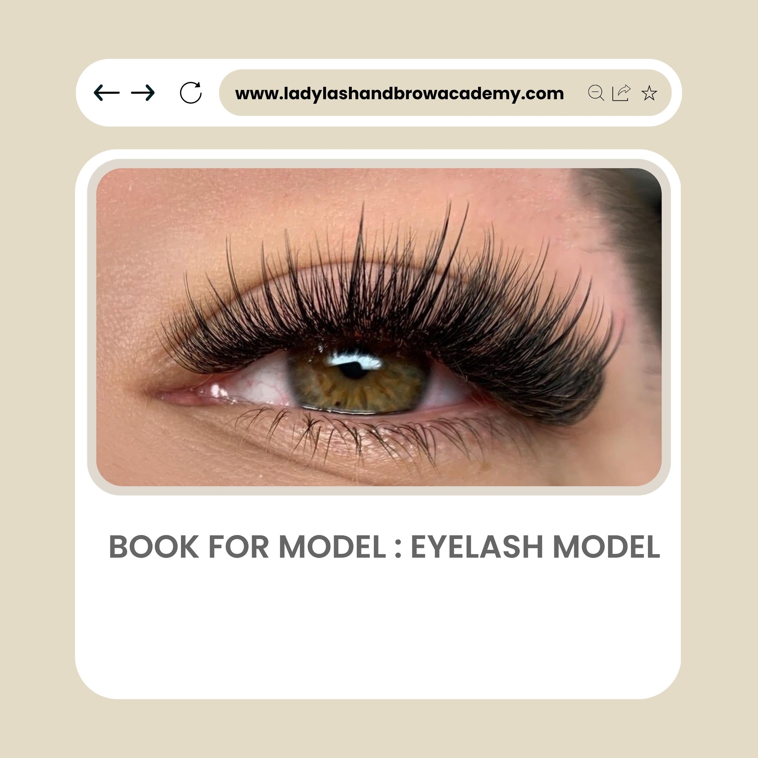 Model For Eyelash – Lady Lash And Brow Academy