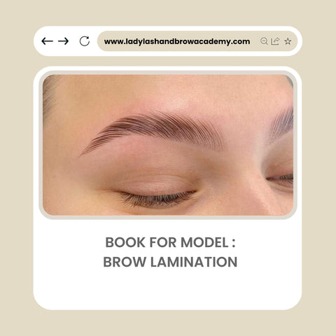 Model For Brow Lamination