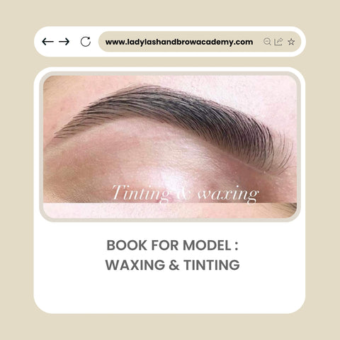 Model For Waxing & Tinting